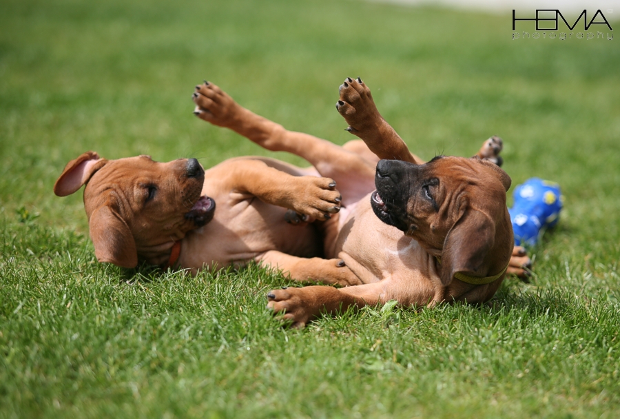 #62
