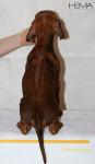 #30