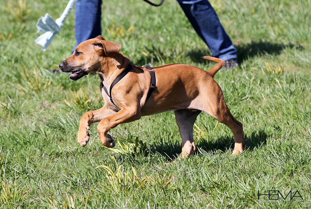 #8