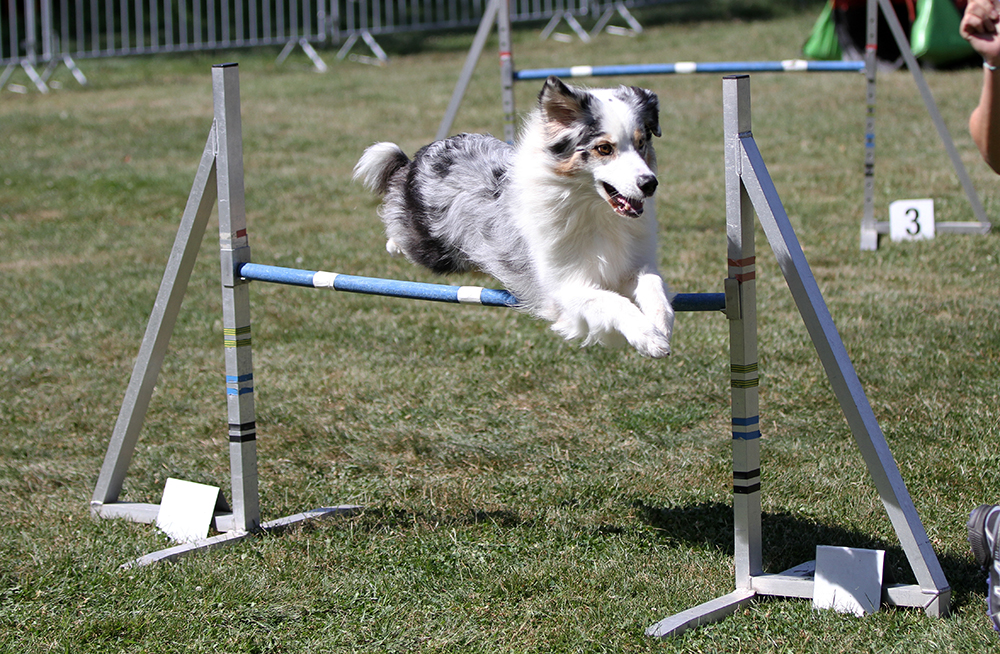 #72