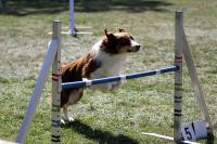#129