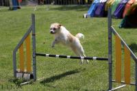 #16