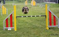 #105
